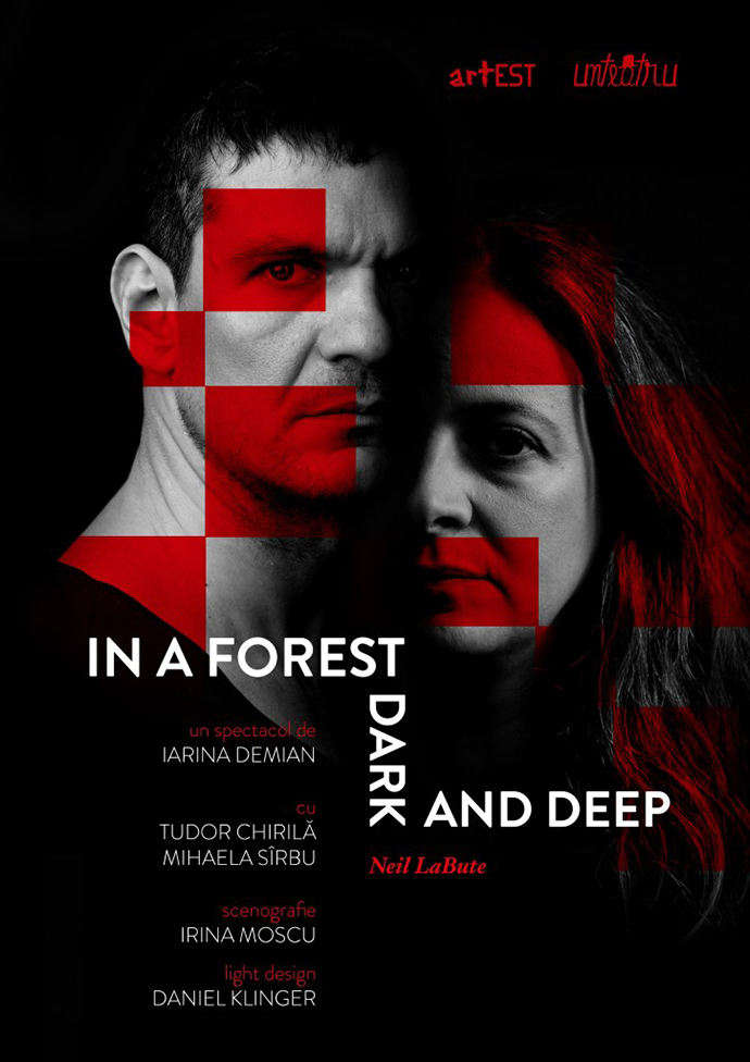 In a forest dark and deep Tudor Chirilă