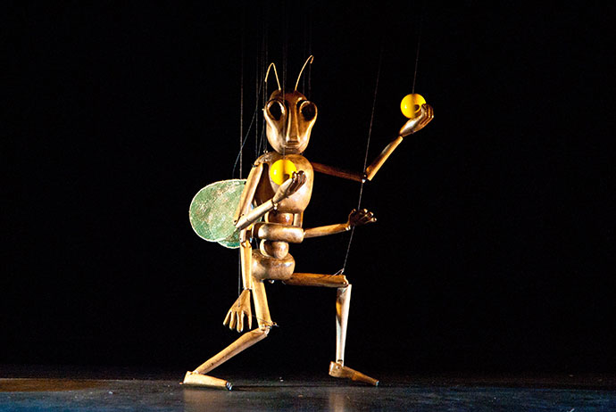 String Theatre Marea Britanie CIRCUL INSECTELOR THE INSECT CIRCUS